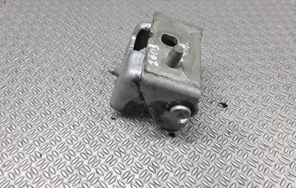 Citroen C3 Picasso Rear door lower hinge