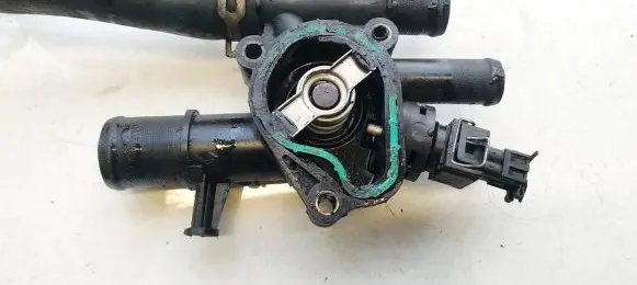 Nissan Primera Engine coolant pipe/hose