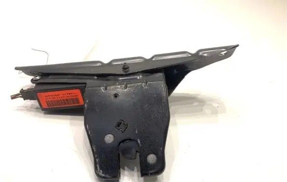 BMW X6 E71 Tailgate exterior lock 7071594
