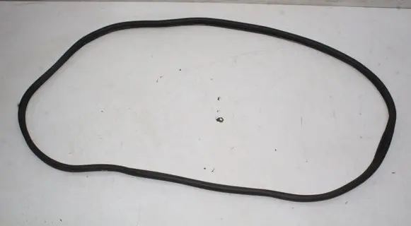 Hyundai IONIQ 6 Rubber seal front door (on door) 