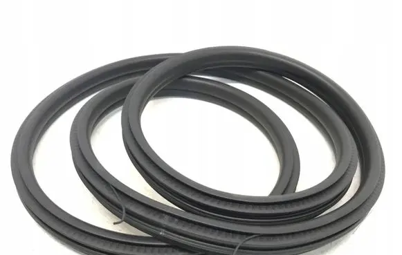 Mini Clubman F54 Rear door rubber seal (on body) 7344161