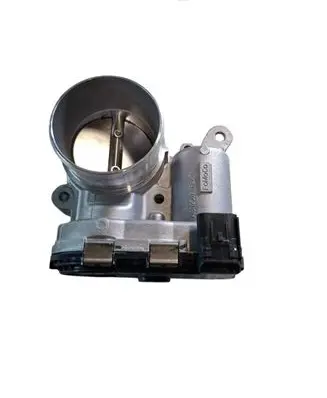 Throttle body valve