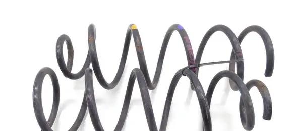 Rear coil spring