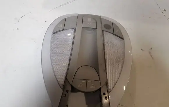 Mercedes-Benz CLS C219 Front seat light 2198200901