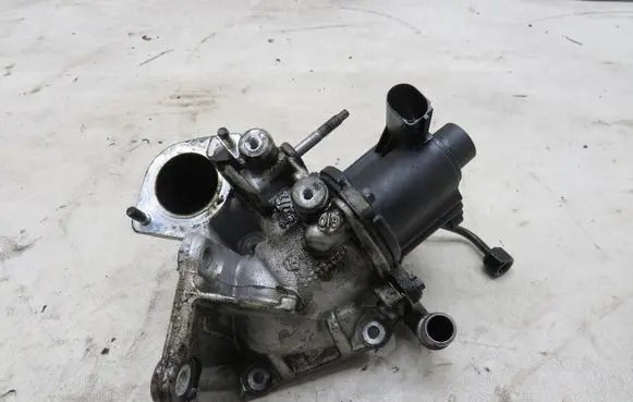 Nissan Juke I F15 EGR valve GMAUTO4574097