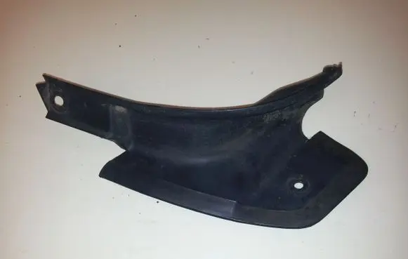 Rear/tail light trim molding