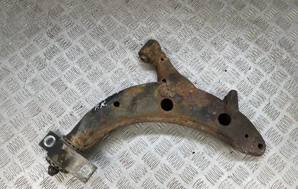Front lower control arm/wishbone
