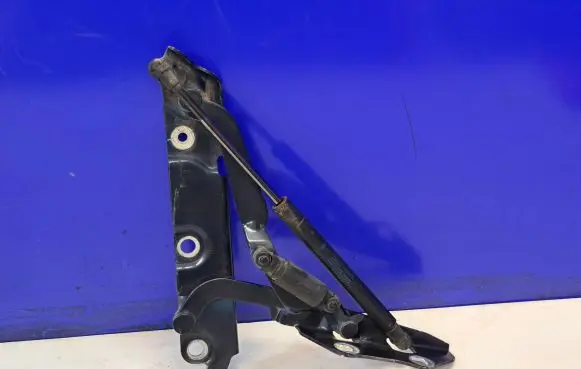 Tailgate/trunk strut/damper