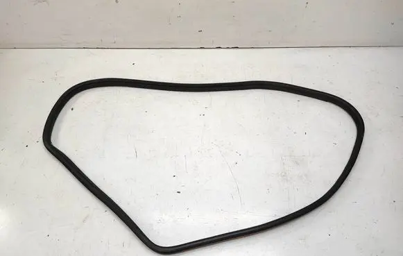 BMW X6 E71 Rear door rubber seal (on body) 