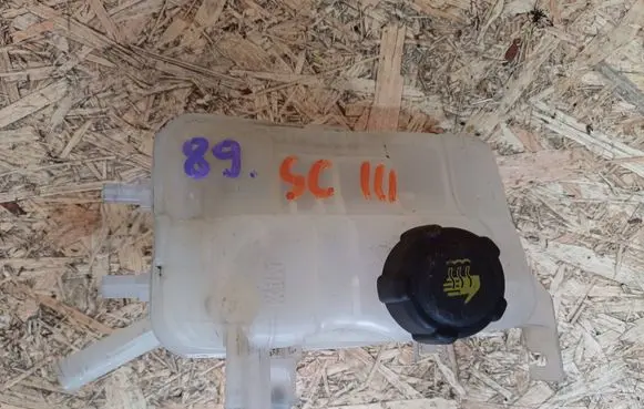 Renault Scenic III - Grand scenic III Coolant expansion tank/reservoir 217100005R
