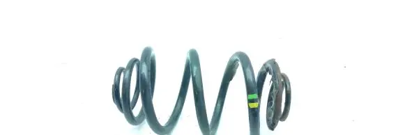 Renault Trafic III (X82) Rear coil spring