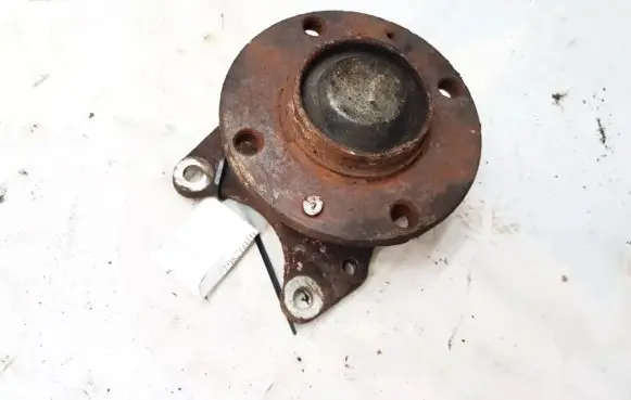 Peugeot 307 Stub axle 