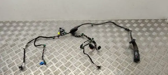 Volkswagen PASSAT B8 Front door wiring loom 3G1971120H