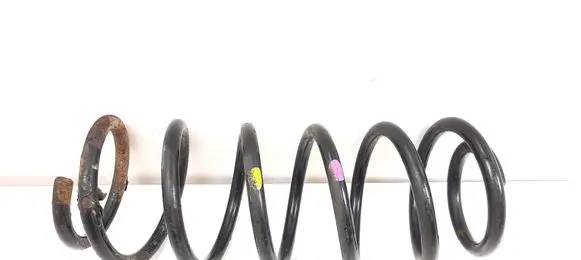 Chevrolet Captiva Front coil spring