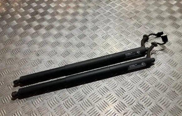BMW X1 F48 F49 Tailgate strut 7350837