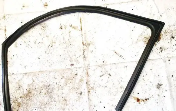 KIA EV6 Rubber seal front coupe door 