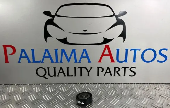 Ford Fiesta Belt tensioner pulley 6203DG8