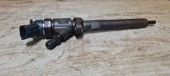 Volvo V50 Fuel injector 0445110297