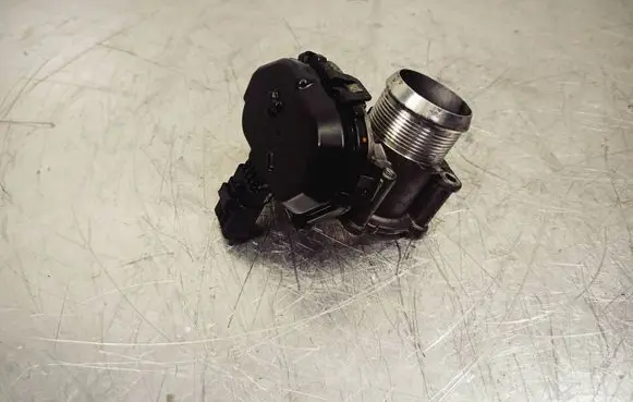 Throttle body valve
