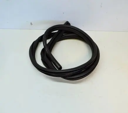 Ford Kuga II Rubber seal front door (on door) 