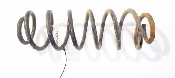 Rear coil spring