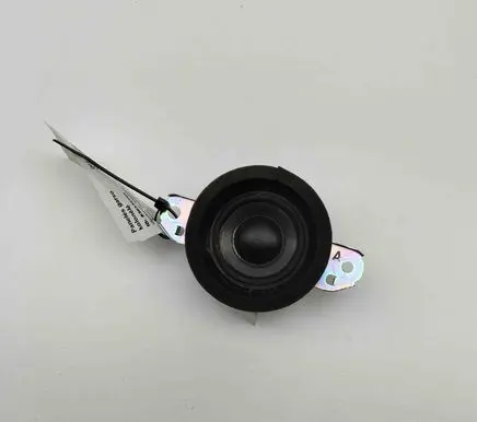 Panel speaker