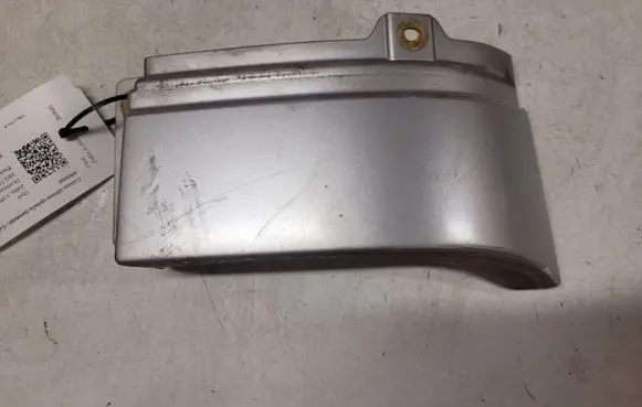 Rear/tail light trim molding