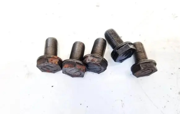 Nuts/bolts