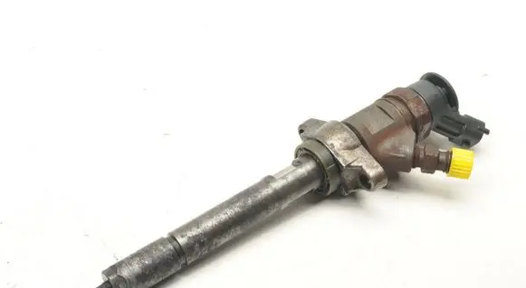 Citroen C4 I Fuel injector 0445110311