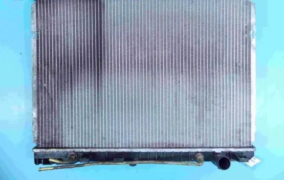 KIA Carnival Coolant radiator 66671 IMPRK1313245