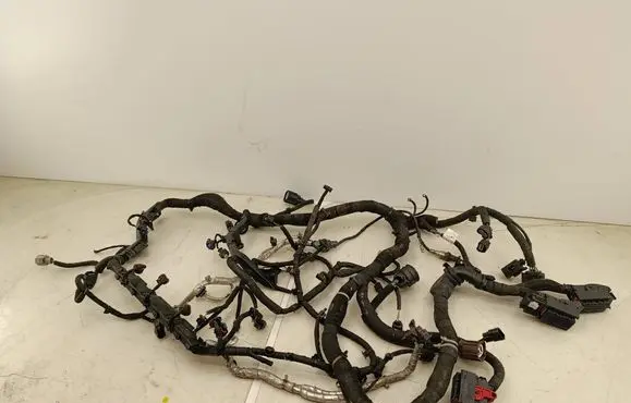 Engine installation wiring loom