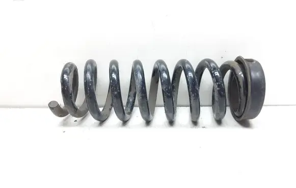 Rear coil spring