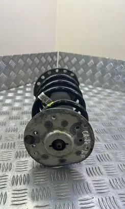 Front shock absorber with coil spring