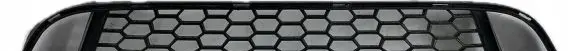 BMW 2 F22 F23 Front bumper lower grill 8055434