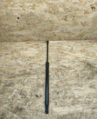 Tailgate strut
