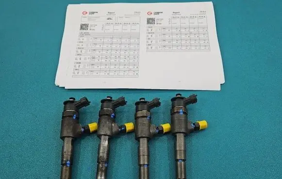 Citroen C3 Fuel injectors set 0445110252 IMPRK1585570