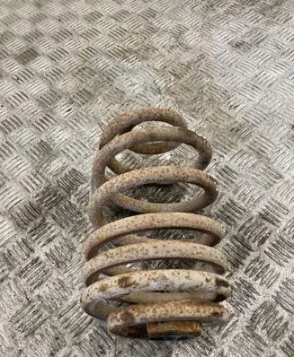 Renault Trafic II (X83) Rear coil spring