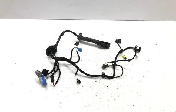 Volkswagen Tiguan Front door wiring loom/harness boot 571971162AA TAB016130CP