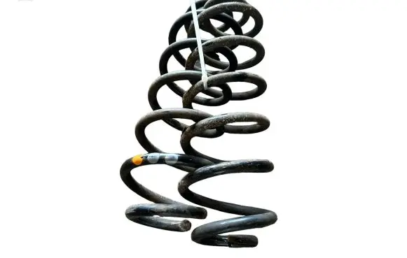 Rear coil spring