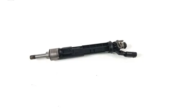 Dacia Sandero III Fuel injector 166005550R