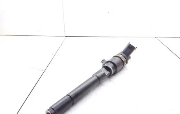 Opel Antara Fuel injector 0986435238 95517510