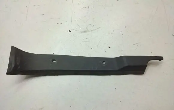 Rear/tail light trim molding