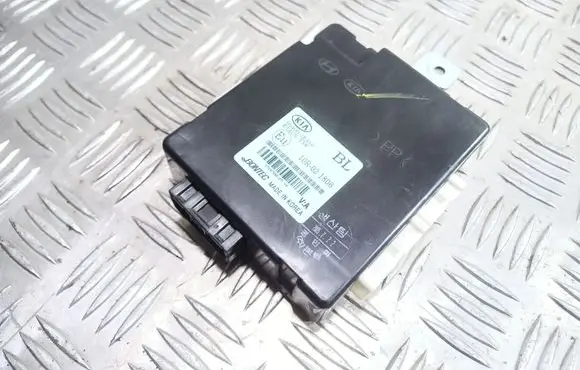 Door central lock control unit/module