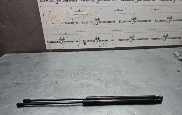 Tailgate/trunk strut/damper