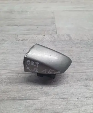 Skoda Octavia Mk3 (5E) Rear door handle cover 5G0839167