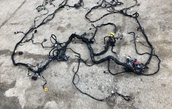 Cupra Tavascan Right interior wiring harness 11B971815