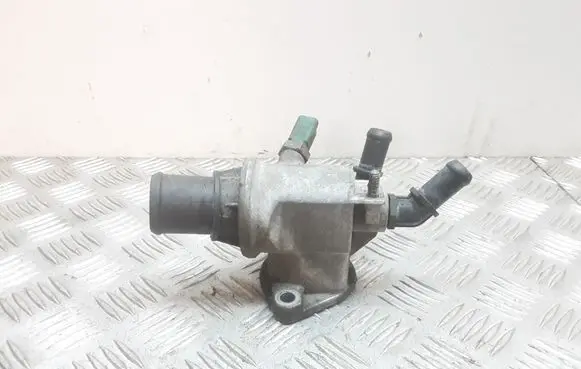 Thermostat/thermostat housing