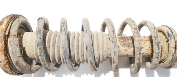 Chevrolet Epica Rear coil spring