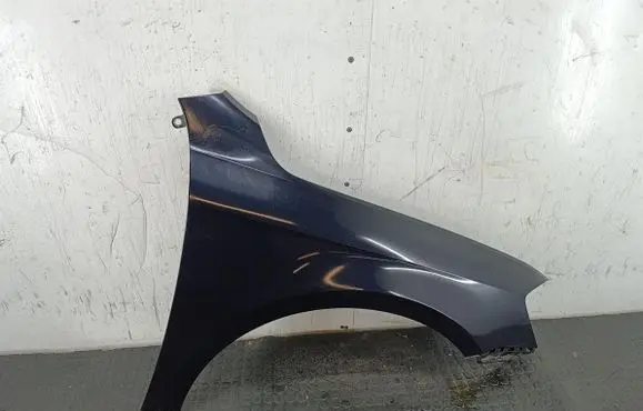 Volkswagen PASSAT B7 Fender LC9X