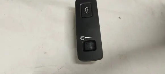 Volvo XC90 Tailgate opening switch 31376510